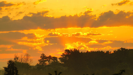 sunset in the forest