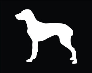 Braque Français Dog Vector Silhouette