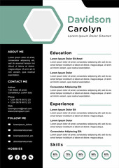 professional curriculum vitae template vector
