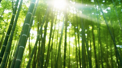 Fototapeta na wymiar Bamboo forest in the morning. Generative Ai