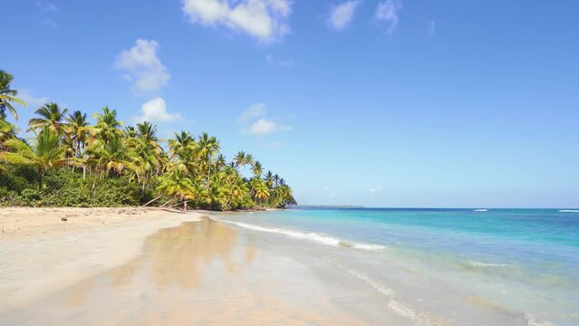 The blue Caribbean Sea washes a tropical peninsula with a palm-fringed beach. Green coconut trees on the sandy beach in amazing summer. Relaxation and recreation in pristine nature in an exotic place.