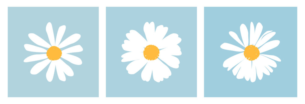 Set of daisy flower on blue backgrounds vector illustration. Cute wall art decoration.