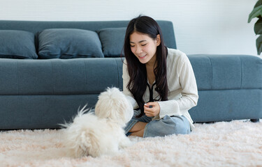 Asian young happy cheerful female owner sitting smiling on fluffy carpet floor using snack treat...