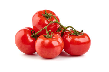Tomato branch. Ripe fresh tomatoes, close-up, isolated on white background.