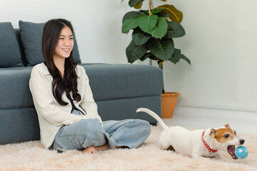 Asian young happy cheerful female owner sit smiling on fluffy carpet floor using toy ball treat training best friend companion dog white short hair jack russell terrier shaking hand in living room