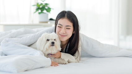 Asian young happy cheerful female owner laying lying down smiling hugging cuddling embracing best friend companion dog white long hair mutt shih tzu under blanket on bed together in bedroom at home