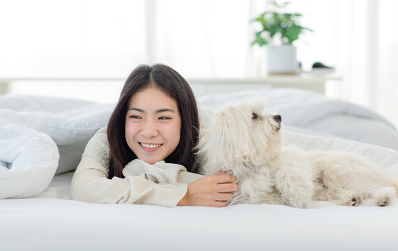 Asian young happy cheerful female owner laying lying down smiling hugging cuddling embracing best friend companion dog white long hair mutt shih tzu under blanket on bed together in bedroom at home