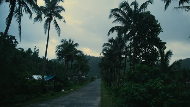 A scooter approaches in the distance on a tropical road on an island in the Philippines