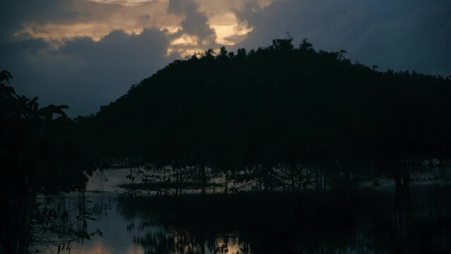 Dark mangrove swamp after sunset on the island Siargao, Philippines
