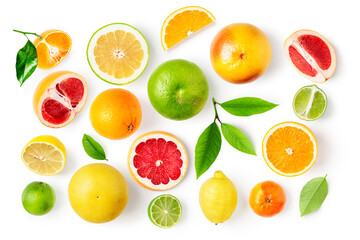 Lemon, lime, grapefruit, tangerine, clementine and orange citrus fruits set isolated.