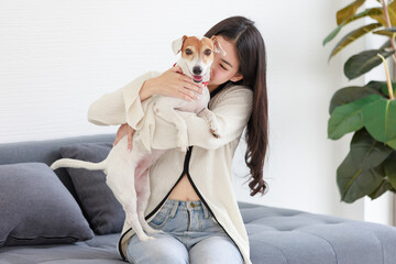 Asian young happy cheerful female owner sitting smiling on cozy sofa couch playing hugging cuddling with best friend small companion dog white short hair parson jack russell terrier in living room