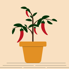 Hot Chilli Pepper in a pot. Concept of Home growing Vegetables. Organic Homemade Red Peppers. Flat vector illustration.