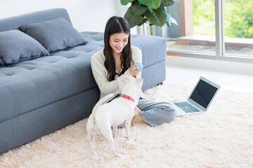 Asian young female owner sitting smiling on carpet floor browsing surfing internet online via laptop computer playing chew ball toy with best friend companion dog jack russell terrier in living room
