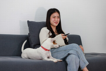 Asian young happy cheerful female owner sitting smiling on cozy sofa couch watching movie with best friend companion dog white short hair jack russell terrier