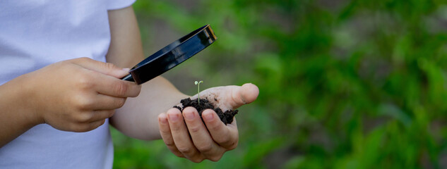 the child holds soil with a sprout in his hand and looks through a magnifying glass.