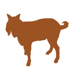 Silhouette Of Animals