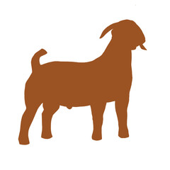 Silhouette Of Animals