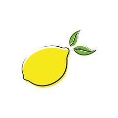Citrus flat vector icon. Lemon, orange flat vector icon, brand company