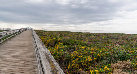 Fototapeta premium Beautiful wooden walkway on the beach along the ocean. Wooden path at coastline Atlantic ocean over flowering bushes near Catedrales Beach, coast in northern Spain. Tourist place.