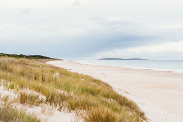 Fototapeta na wymiar View of beach on the left near Paddys Island Nature Reserve at Beaumaris
