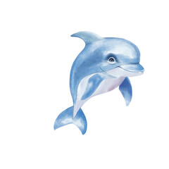 dolphin