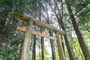 千葉県銚子市　猿田神社