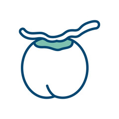 coconut icon vector design template in white background