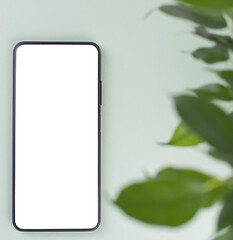 Phone on a green background of plants with isolation inside