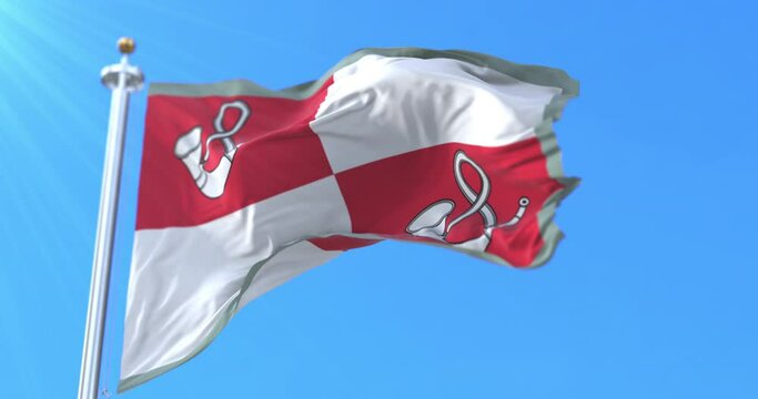 Flag of Tauragė capital city, Lithuania. Loop