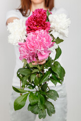 beautiful peonies in the hands of a girl on a white background