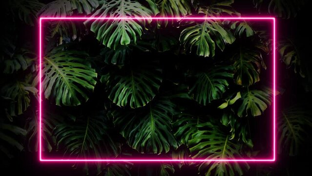 Palm neon background. Neon frame on the background of tropical palm leaves. Trend, design concept