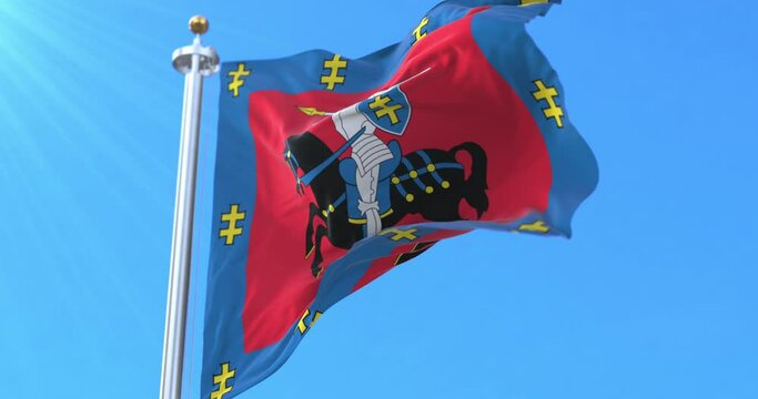 Flag of Vilnius County, Lithuania. Loop