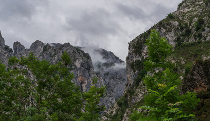 Rocky mountains in Picos de Europa National Park on a rainy overcast day, with low clouds and vibrant spring foliage and grass. Asturias, Spain.