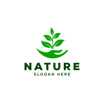 Green nature logo vector illustration. Plant logo