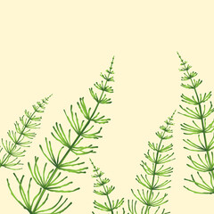 Pattern with Horsetail plants and yellow background