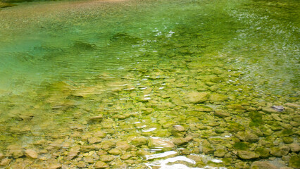 Arroyo de agua clara en bosque de Asturias