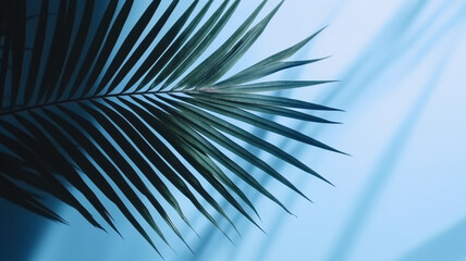 Obraz premium Palm shadow background. Created with generative Ai technology.
