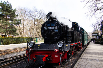Fototapeta premium Rasender Roland Steam Train on Rügen Island, Germanx