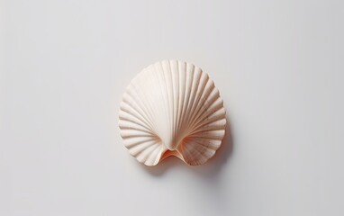 single seashell on a light neutral background - created using generative AI tools