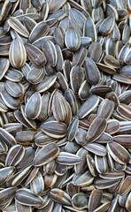 Top view of pile of raw sunflower seeds