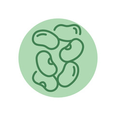 Bean black line icon. Natural organic super food.