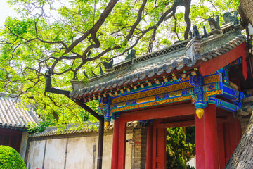 Summer scenery of Shandong Yantai Penglai Pavilion scenic area, Tianhou Palace