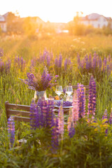 Elegant gorgeous wedding table decor or romantic dinner arrangement outdoors in blooming field. Purple lupine flowers, candles, fruits and wine, wooden vintage furniture. Sunset, summer, golden hour