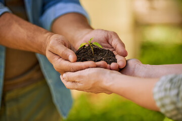 Plants, hands and teamwork of people for eco friendly growth, sustainability support and agriculture. Sapling soil, farmer with partner palm for sustainable gardening, nonprofit or earth day closeup