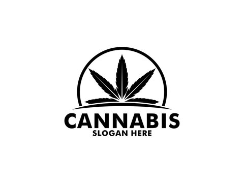 Cannabis leaf logo design. Hemp or Cannabis modern logo vector template