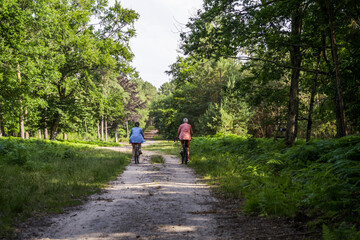 Fototapeta premium Back view of the senior man and his daughter riding bicycles in summer forest
