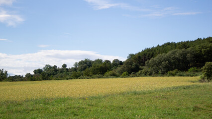 Landscape of the countryside on asunny day