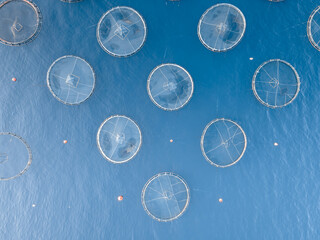 Aerial shot directly above a circular shaped fish farm in sea, top down