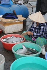 Vietnam fish market