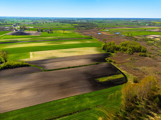 Rural landscape, fields and meadows